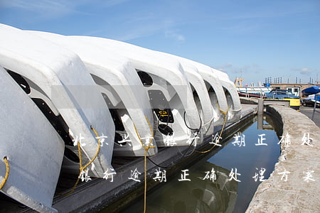北京兴业银行逾期正确处理方案-北京兴业银行逾期正确处理方案是什么