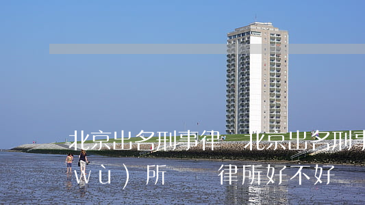 北京出名刑事律師(北京出名刑事律師事務(wù)所馳為律所好不好)
