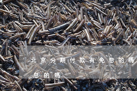 北京分期付款有免息的嗎(北京分期付款有免息的嗎)
