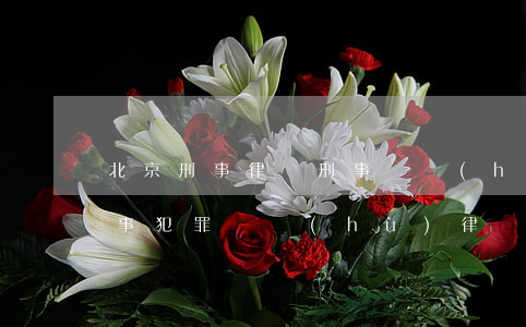 北京刑事律師刑事辯護(hù)律師(北京刑事犯罪辯護(hù)律師)