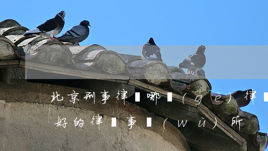 北京刑事律師哪個(gè)律師好(北京刑事好的律師事務(wù)所)