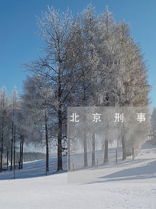 北京刑事律師排行