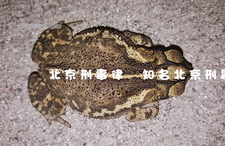 北京刑事律師知名(北京刑事有名律師)