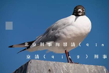 北京刑事拘留請(qǐng)律師有用嗎(北京請(qǐng)刑事律師收費(fèi)標(biāo)準(zhǔn))