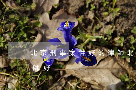 北京刑事案件好的律師(北京哪個刑事案件律師好)