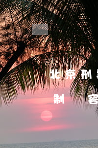 北京刑事案件律師所(北京刑事案件律師所復制內容)