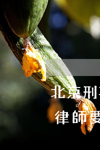 北京刑事案件請(qǐng)一個(gè)律師要多少錢(qián)