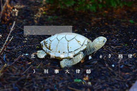 北京刑事業(yè)務律師(北京專業(yè)刑事大律師)