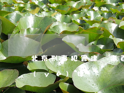 北京刑事犯罪律師事百度一下(北京刑事專業(yè)律師)