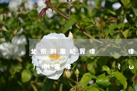 北京刑事犯罪律師辯護律師(北京專業(yè)刑事律師辯護網(wǎng))