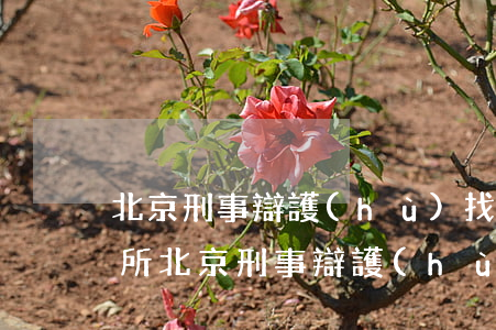 北京刑事辯護(hù)找律師事務(wù)所(北京刑事辯護(hù)找律師事務(wù)所馳為律所地址多少)