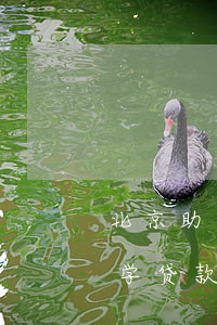 北京助学贷款逾期可以组合贷款吗-北京助学贷款逾期可以组合贷款吗知乎