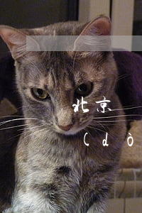 北京勞動(dòng)仲裁有用嗎(北京勞動(dòng)仲裁時(shí)間一般多長(zhǎng))