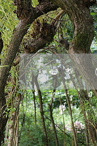 北京區(qū)號(hào)是多少(北京區(qū)號(hào)是多少號(hào)碼查詢)