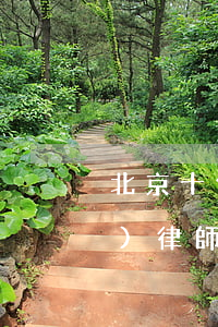 北京十佳知識產(chǎn)權(quán)律師事務所(北京優(yōu)秀律師事務所)