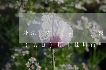 北京十大優(yōu)秀律師(北京律師事務(wù)所十佳排行)