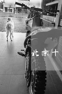 北京十大尋釁滋事律師(北京十大敲詐勒索律師)