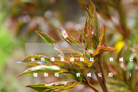 北京博豪雅郡投資有限公司逾期-北京博豪雅郡投資有限公司復(fù)工了嗎