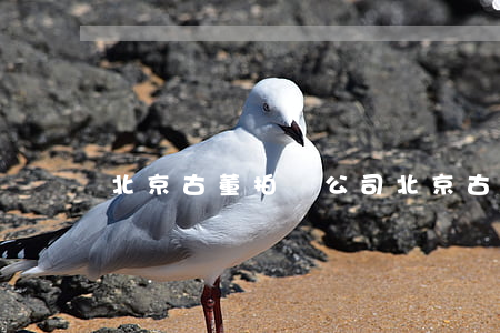 北京古董拍賣公司(北京古董拍賣公司名單)