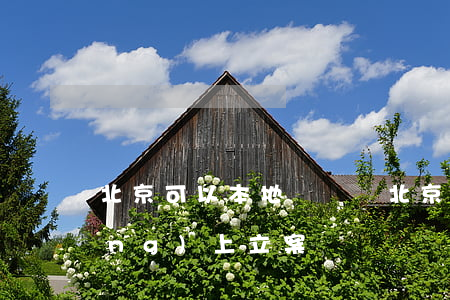 北京可以本地訴訟嗎(北京法院可以網(wǎng)上立案嗎)