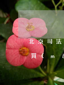 北京司法拍賣(mài)車(chē)可以買(mǎi)嗎(北京車(chē)牌可在司法拍賣(mài)獲得嗎)