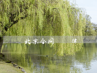 北京合同糾紛律師費(fèi)用是多少
