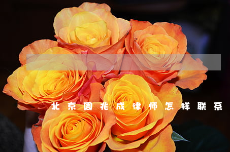北京周兆成律师怎样联系(兆成律师团)