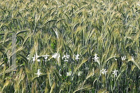 北京哪些律師事務(wù)所(北京哪些律師事務(wù)所有)