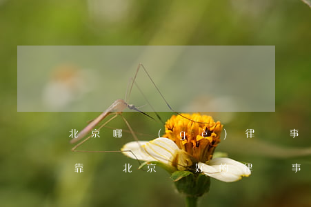 北京哪個(gè)律師事務(wù)所比較靠譜(北京較好的律師事務(wù)所)