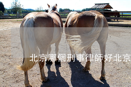 北京哪個刑事律師好(北京哪有好刑事律師)