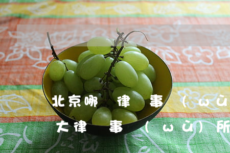 北京哪個律師事務(wù)所律師好(北京十大律師事務(wù)所)