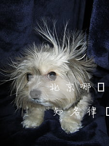 北京哪個律師事務(wù)所靠譜(北京哪有知名律師事務(wù)所)