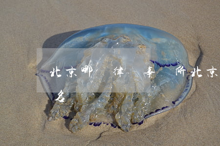 北京哪個律師事務所(北京哪個律師事務所有名氣)