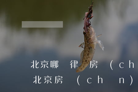 北京哪個律師房產(chǎn)糾紛打的好(北京房產(chǎn)糾紛最好的律師)