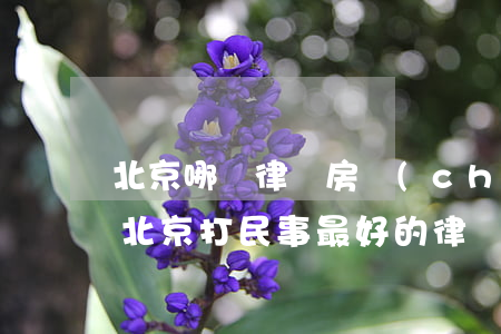 北京哪個律師房產(chǎn)糾紛打的好(北京打民事最好的律師)