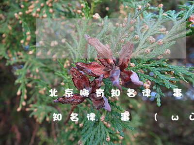 北京哪有知名律師事務(wù)所(北京哪有知名律師事務(wù)所 復(fù)制內(nèi)容)