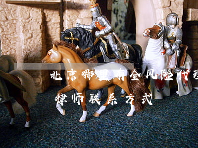 北京哪里有全风险代理律师(北京全风险代理律师联系方式)