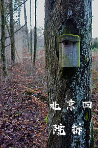 北京四合院拆遷補(bǔ)償多少(北京四合院拆遷補(bǔ)償多少)