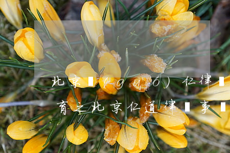 北京國(guó)仁律師事務(wù)所任育之(北京仁道律師事務(wù)所)
