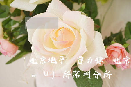 北京地平線曾力律師(北京地平線律師事務(wù)所深圳分所)