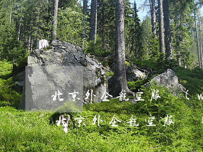 北京外企航空服務(wù)有限公司逾期-北京外企航空服務(wù)有限公司逾期了怎么辦
