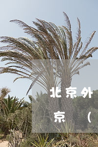 北京外國(guó)律師事務(wù)所(北京國(guó)際律師事務(wù)所)
