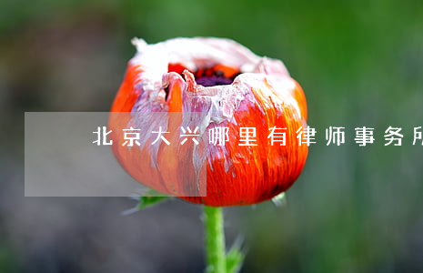 北京大兴哪里有律师事务所