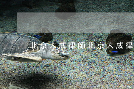 北京大成律師(北京大成律師所王力博)