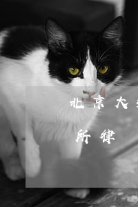 北京大邦律師事務所律師(上海大邦律師事務所律師)