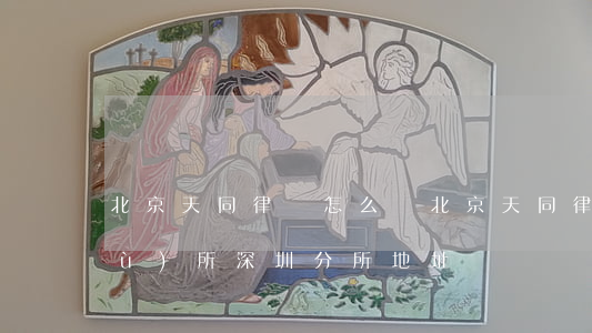 北京天同律師怎么樣(北京天同律師事務(wù)所深圳分所地址)