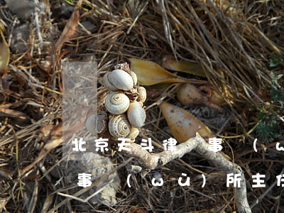 北京天斗律師事務(wù)所(北京天斗律師事務(wù)所主任王濤)