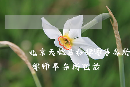 北京天驰君泰律师事务所官网(北京天驰君泰律师事务所电话)