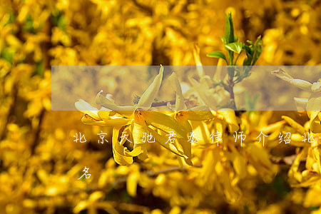 北京天驰君泰律师介绍(北京天驰君泰律师排名)