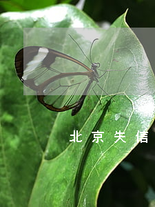 北京失信信用卡逾期(北京失信人員)